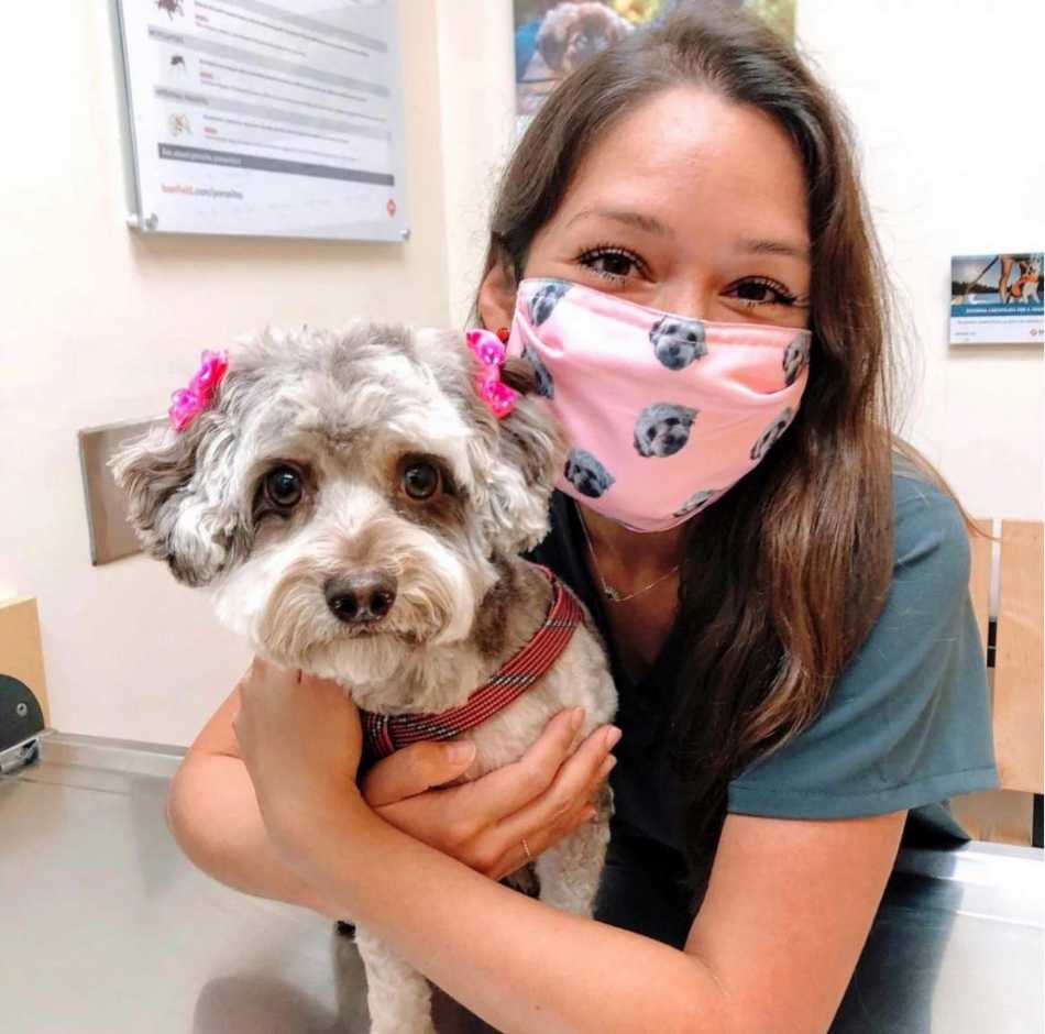 A female Banfield associate holding a dog at the Banfield Pet Hospital