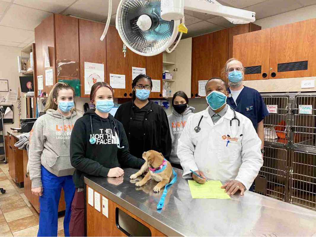 Doctor examining dog with owners at Banfield Hospital