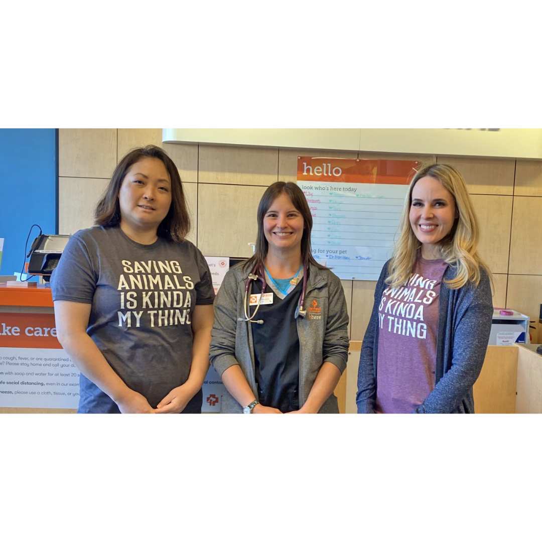 Staff at Highland Park St. Paul