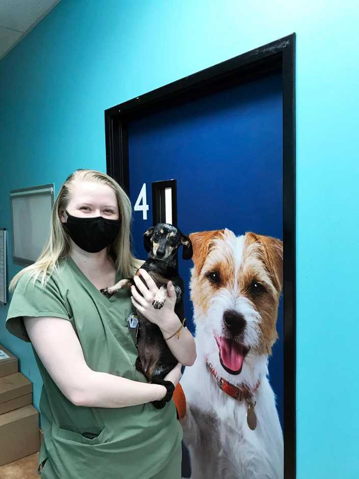 A young female associate holding a dog at the Banfield Pet Hospital