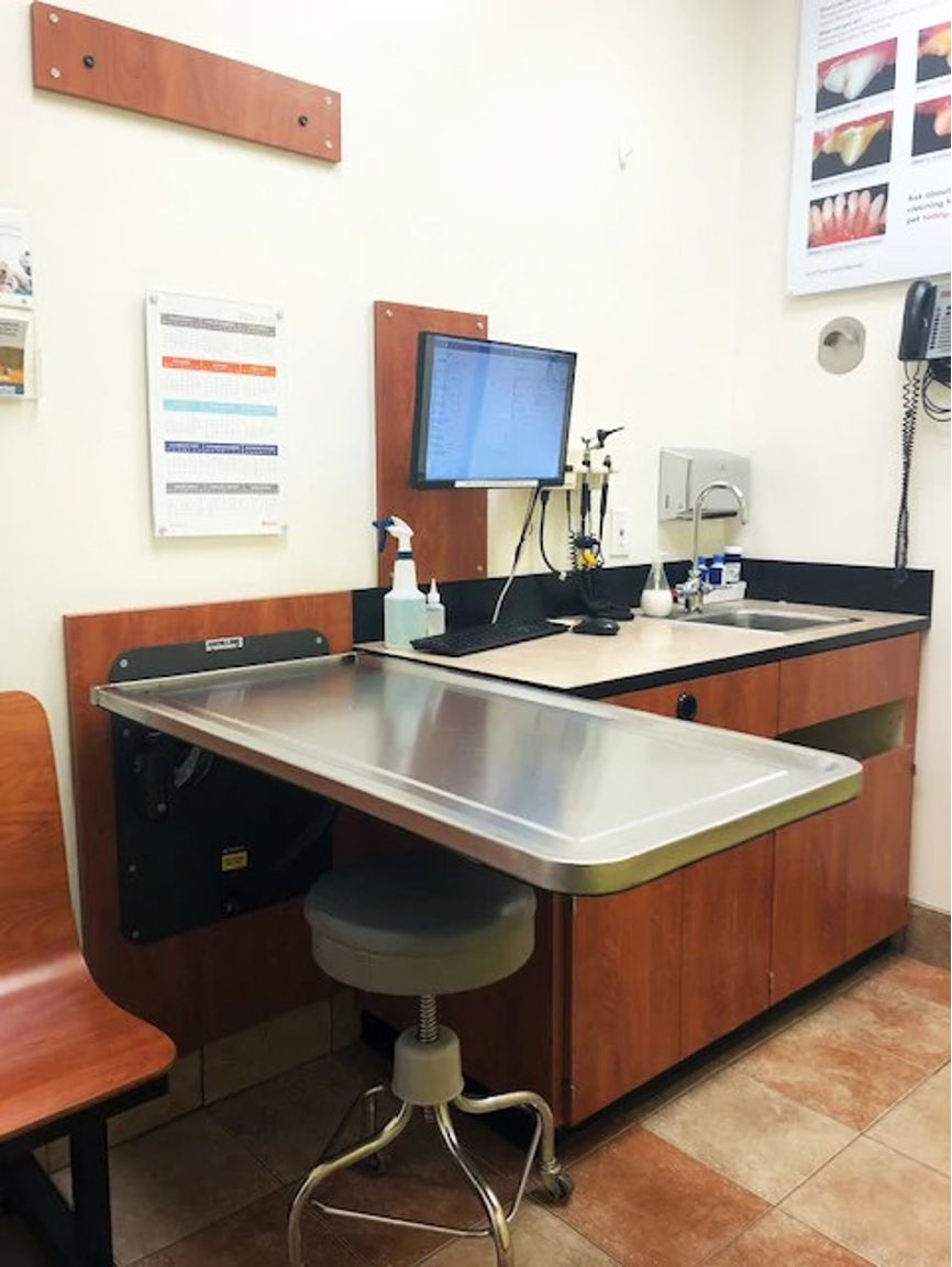 The pet examination room at the Banfield Pet Hospital, Fayetteville, NC