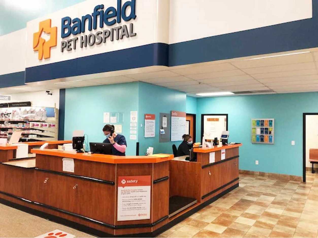 Veterinarians in Hickory Banfield Pet Hospital®