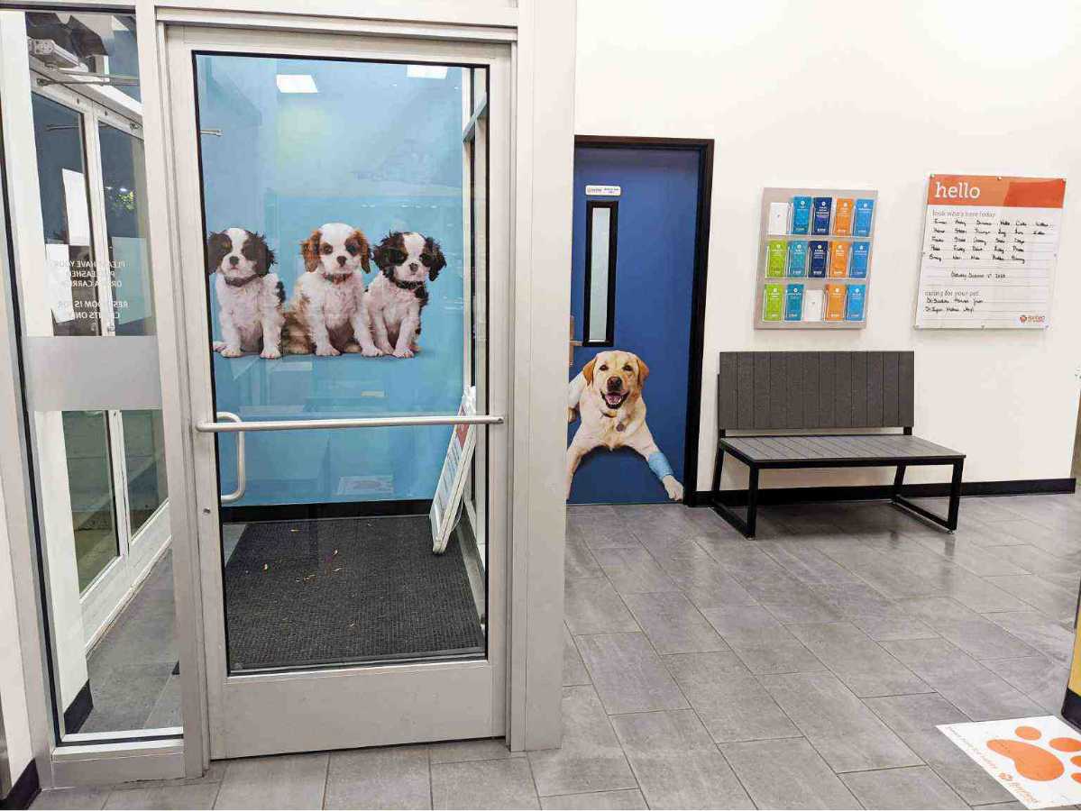 The lobby of the Banfield Pet Hospital