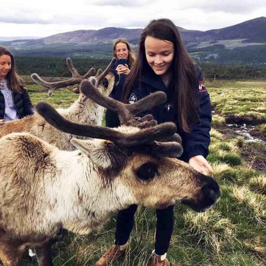 Three young women petting the reindeer