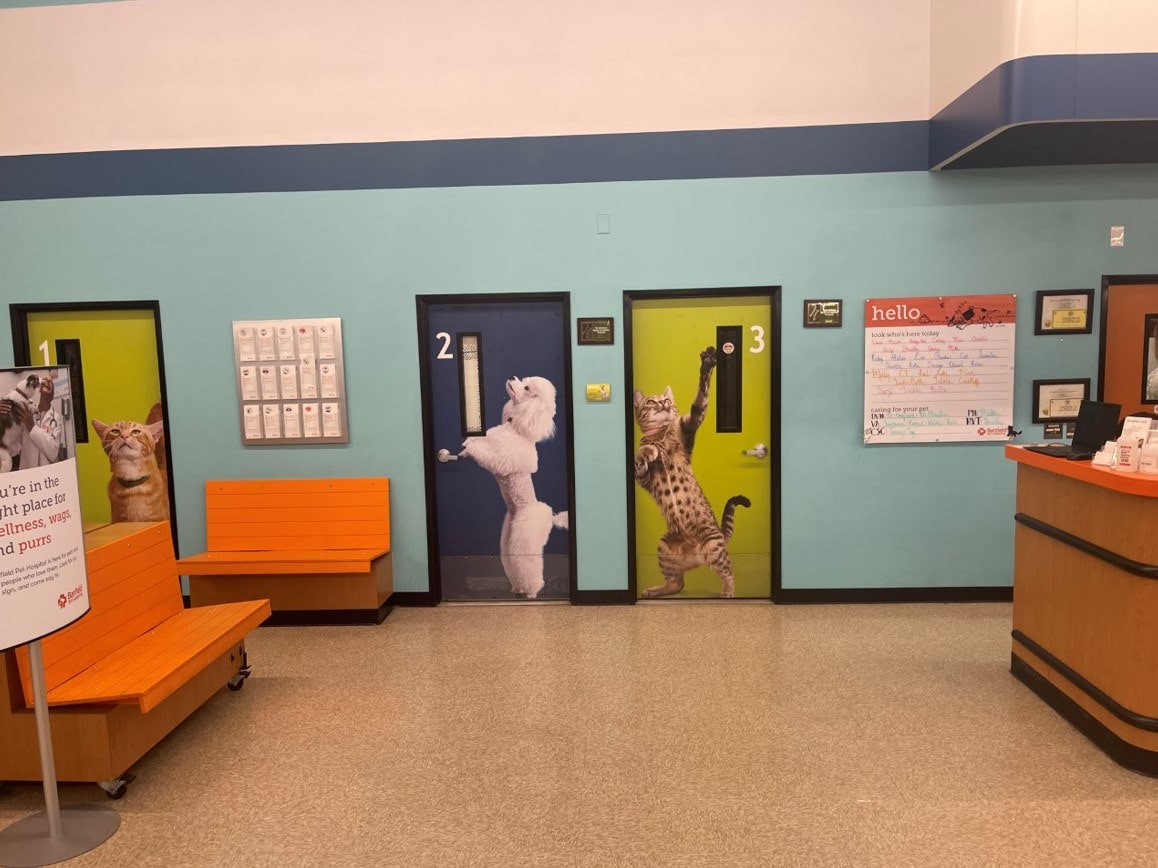 Albuquerque PetSmart exam room doors