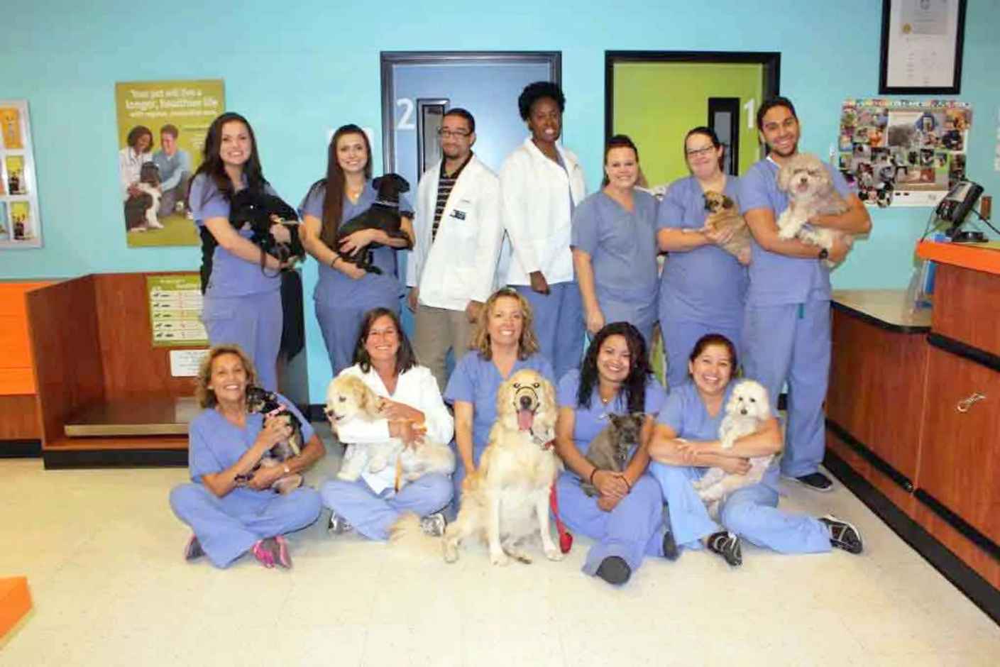 A group of Banfield Associates holding dogs at the Banfield Pet Hospital