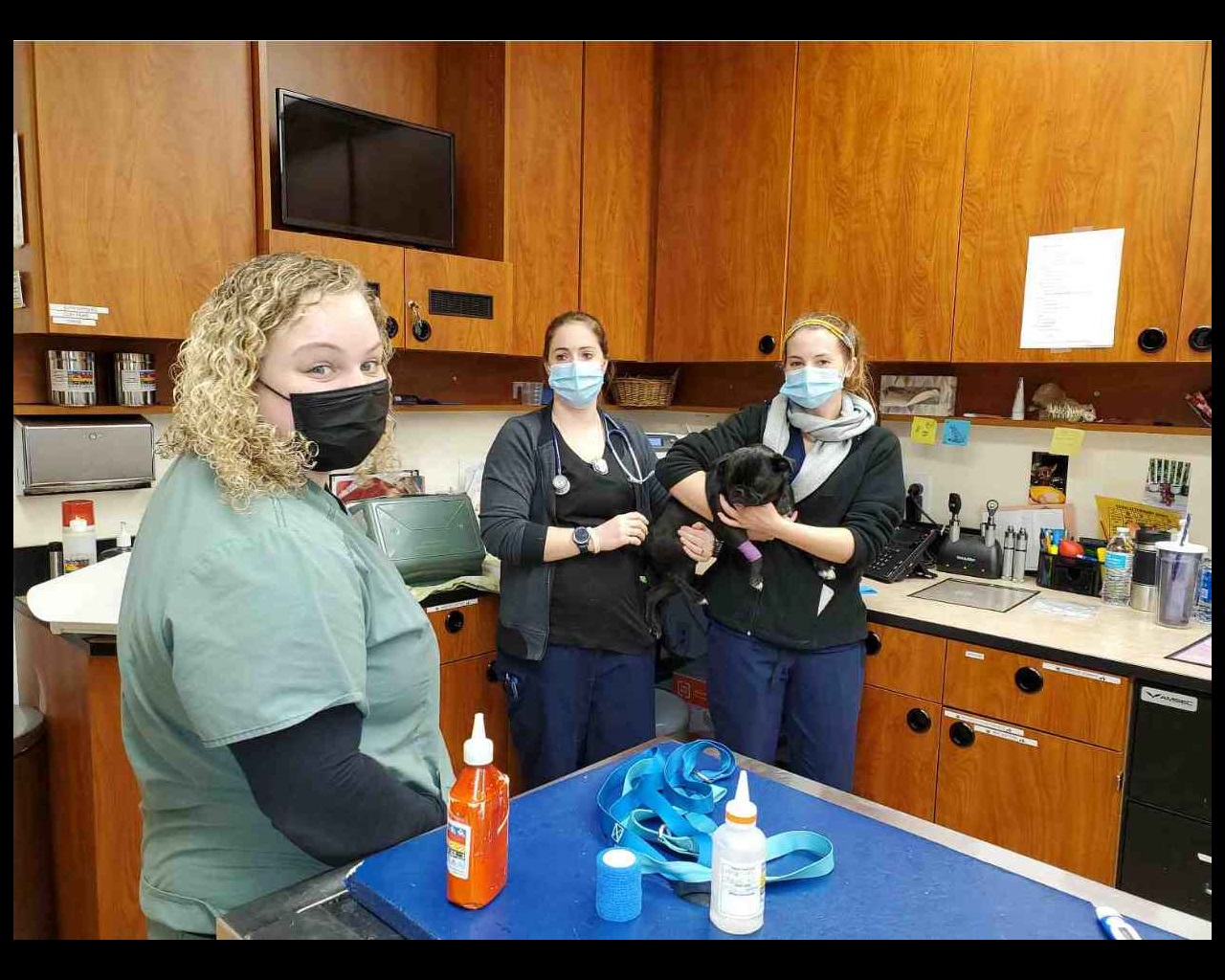 A group of associates holding a black dog in the pet examination room at the Banfield Pet Hospital